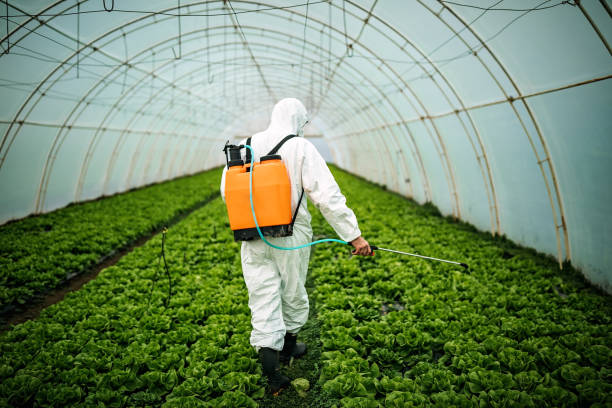 Best Affordable Exterminators  in Blackhawk, SD