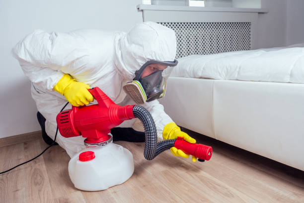 Best Pest Prevention Services  in Blackhawk, SD