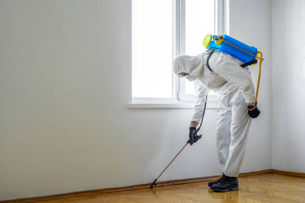 Trusted Blackhawk, SD Pest Control Experts