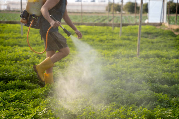 Best Residential Pest Control  in Blackhawk, SD
