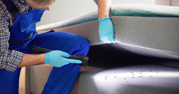 Best Bed Bug Extermination  in Blackhawk, SD