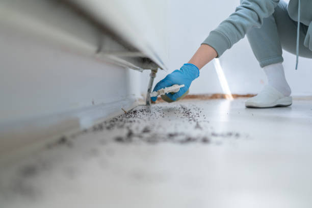 Best Best Pest Control Companies  in Blackhawk, SD