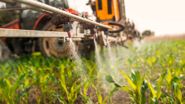 Best Best Pest Control Companies  in Blackhawk, SD